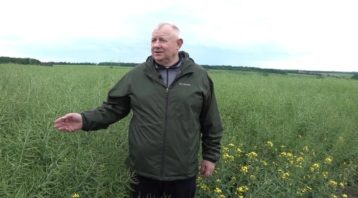 Чому черкаський ріпак масово вивозять на експорт Чому черкаський ріпак масово вивозять на експорт